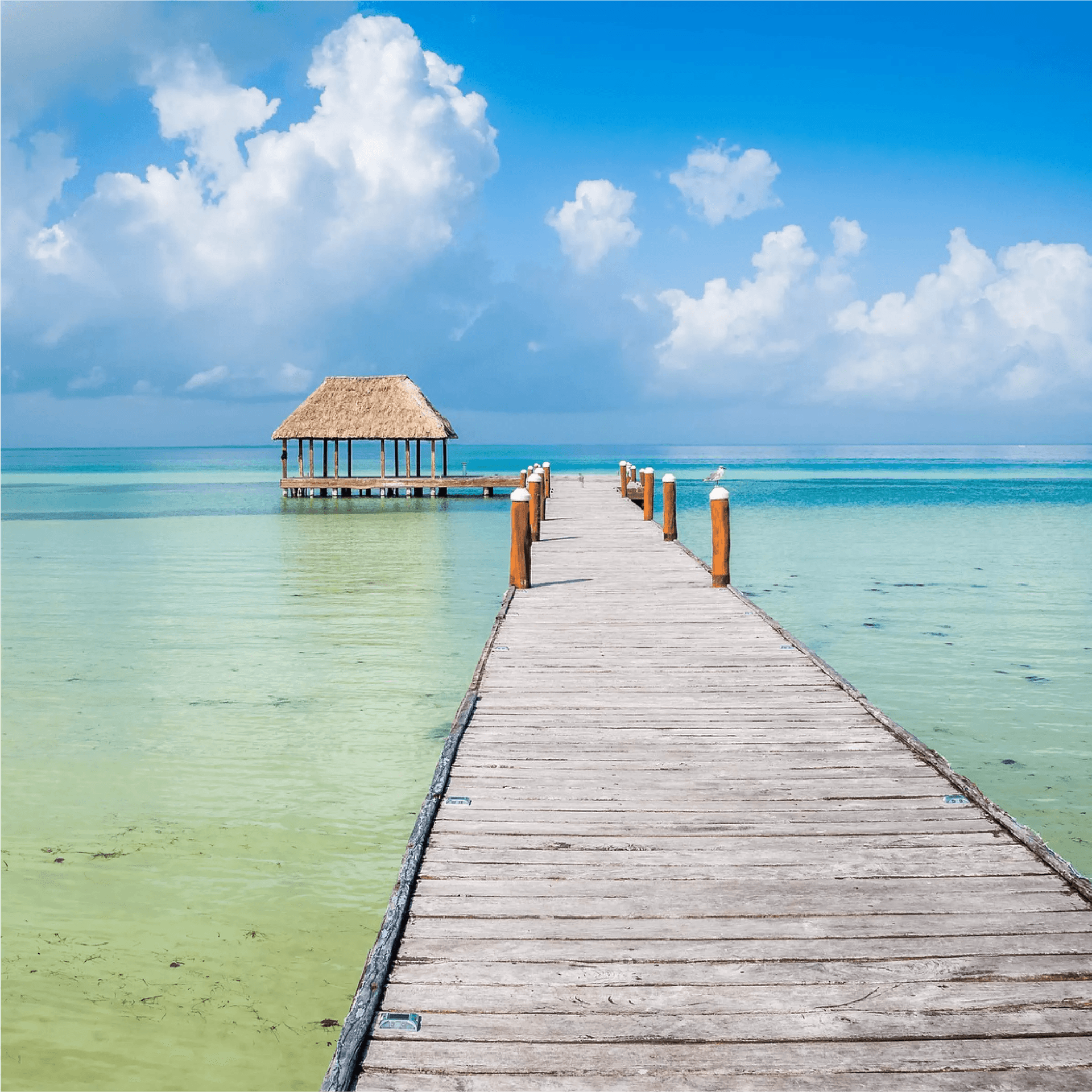 WHERE NATURE MEETS TRANQUILITY