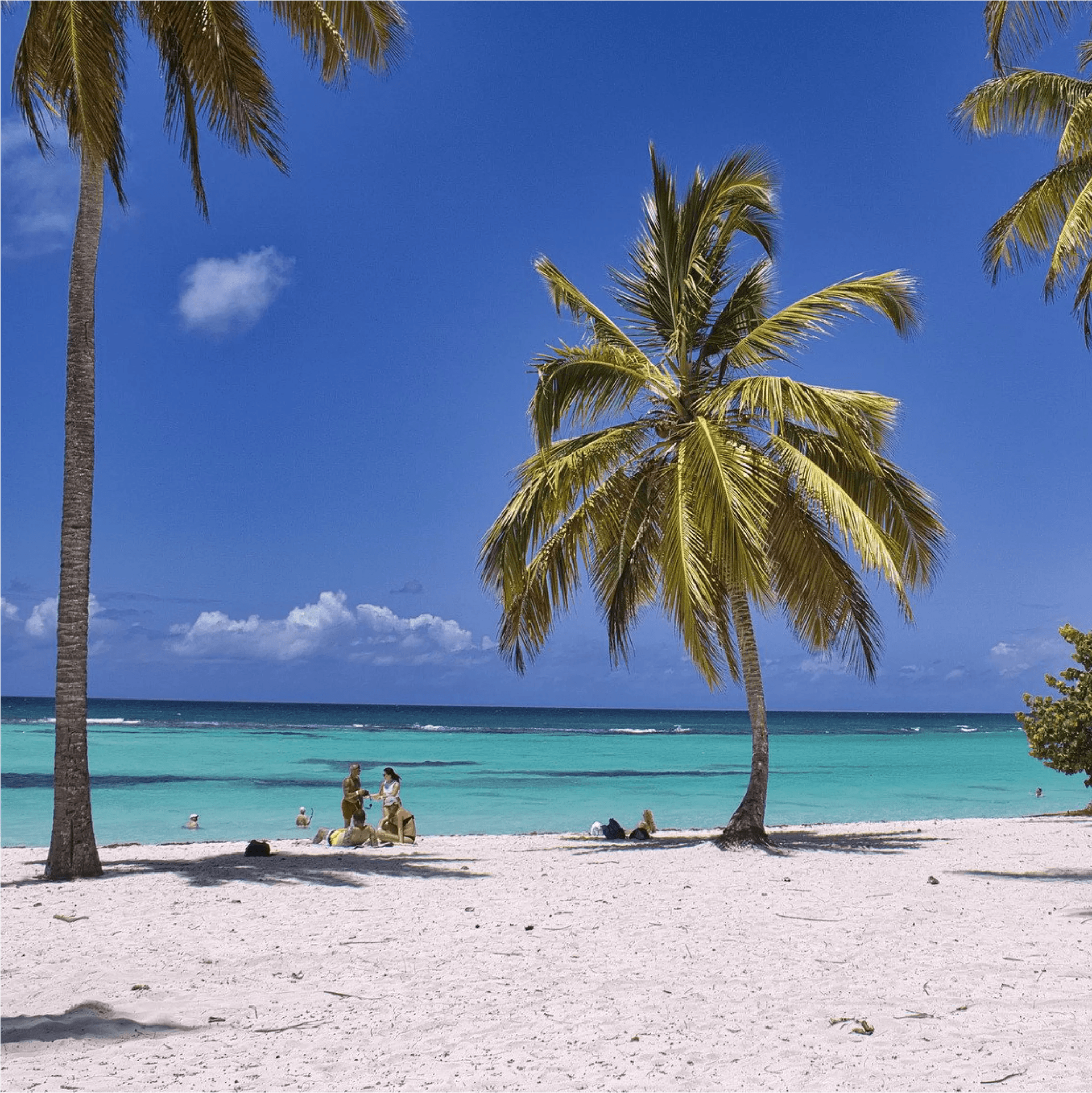 LUXURY BY THE MARINA